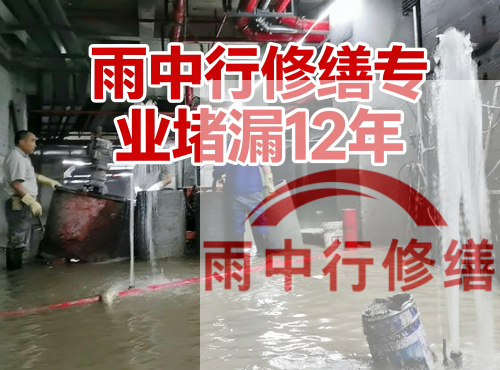 江苏中国五矿某大型污水处理厂堵漏案例